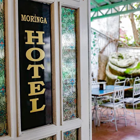 Moringa ホテル ターマル