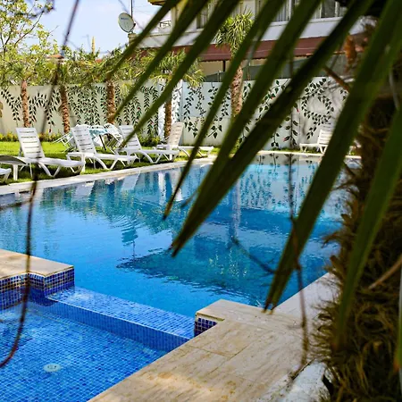 Moringa ターマル