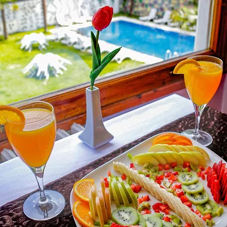 Hotel Moringa Termal