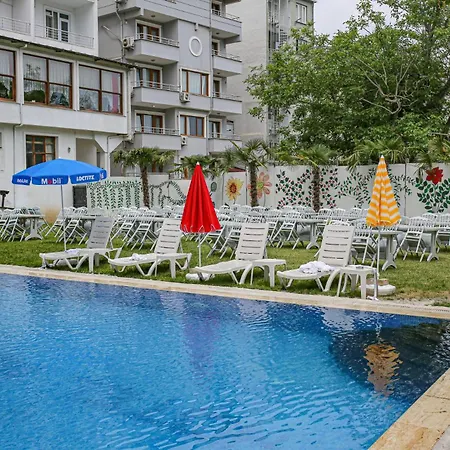 Moringa ターマル