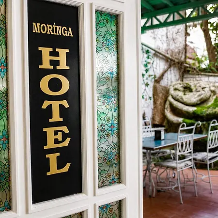 Moringa 4* Termal